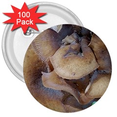 Close Up Mushroom Abstract 3  Buttons (100 Pack)  by Fractalsandkaleidoscopes