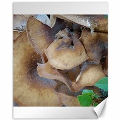 Close Up Mushroom Abstract Canvas 11  X 14  by Fractalsandkaleidoscopes