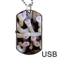 Sea Anemone Dog Tag Usb Flash (two Sides) by TheLazyPineapple