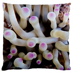 Sea Anemone Large Flano Cushion Case (two Sides) by TheLazyPineapple