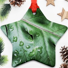 Green Wet Rain Water Drops Plant Star Ornament (two Sides) by Vaneshart