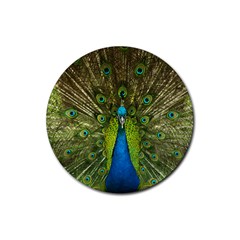 Peacock Feathers Bird Nature Rubber Round Coaster (4 Pack)  by Vaneshart