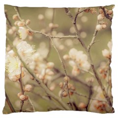 Sakura Flowers, Imperial Palace Park, Tokyo, Japan Large Flano Cushion Case (two Sides) by dflcprintsclothing