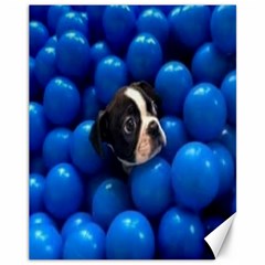 Cute Balls Puppy Canvas 11  X 14  by Sparkle