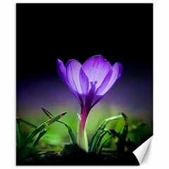 Floral Nature Canvas 8  X 10  by Sparkle