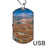 Lucca Historic Center Aerial View Dog Tag USB Flash (One Side) Front