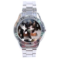 Cats Brothers Stainless Steel Analogue Watch by Sparkle