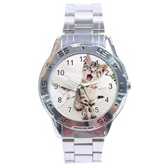 Laughing Kitten Stainless Steel Analogue Watch by Sparkle