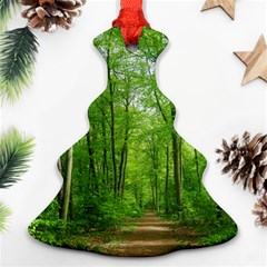 In The Forest The Fullness Of Spring, Green, Christmas Tree Ornament (two Sides) by MartinsMysteriousPhotographerShop