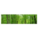 In the forest the fullness of spring, green, Satin Scarf (Oblong) Front