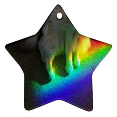 Rainbowcat Star Ornament (two Sides) by Sparkle