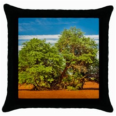 Carob Tree, Talampaya National Park, La Rioja, Argentina Throw Pillow Case (black) by dflcprintsclothing