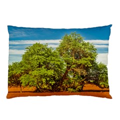 Carob Tree, Talampaya National Park, La Rioja, Argentina Pillow Case by dflcprintsclothing