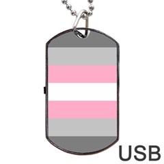 Demigirl Pride Flag Lgbtq Dog Tag Usb Flash (two Sides) by lgbtnation