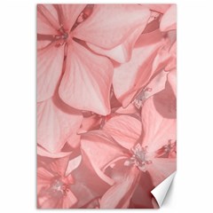 Coral Colored Hortensias Floral Photo Canvas 12  X 18  by dflcprintsclothing