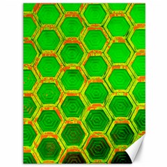 Hexagon Windows Canvas 36  X 48  by essentialimage