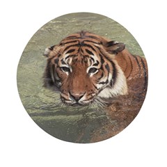 Swimming Tiger Mini Round Pill Box by ExtraAwesomeSauce