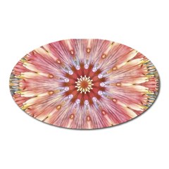 Pink Beauty 1 Oval Magnet