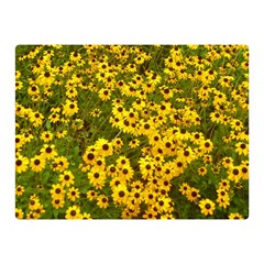 Daisy May Double Sided Flano Blanket (mini)  by LW323