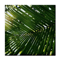 Relaxing Palms Tile Coaster by LW323