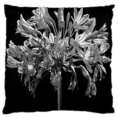 Black And White Lilies Botany Motif Print Large Cushion Case (two Sides) by dflcprintsclothing