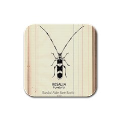 Img016 Rubber Square Coaster (4 Pack) by Limerence