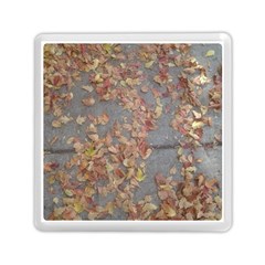 Sidewalk Leaves Memory Card Reader (square) by SomethingForEveryone