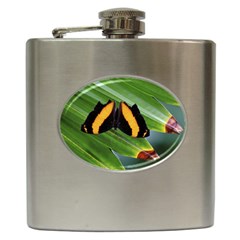 Butterfly  Hip Flask (6 Oz) by DimitriosArt