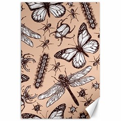 Vintage-drawn-insect-seamless-pattern Canvas 20  X 30  by Jancukart