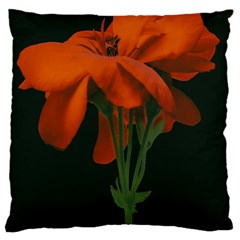 Red Geranium Over Black Background Large Cushion Case (one Side) by dflcprintsclothing