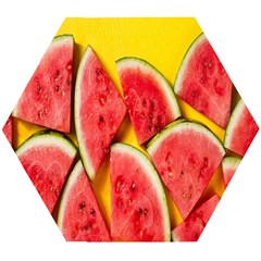 Watermelon Wooden Puzzle Hexagon by artworkshop