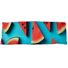 Watermelon Blue Background Body Pillow Case (dakimakura) by artworkshop