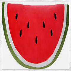 Watermelon Pillow Fluffy Canvas 16  X 16  by artworkshop