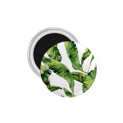 Sheets Tropical Plant Palm Summer Exotic 1 75  Magnets by artworkshop