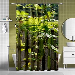 Bitter Melon Shower Curtain 48  X 72  (small)  by artworkshop