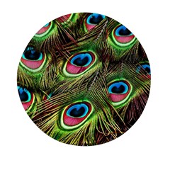 Peacock-feathers-color-plumage Mini Round Pill Box (pack Of 3) by Celenk