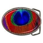 Red Peacock Plumage Fearher Bird Pattern Belt Buckles Front