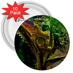 Chameleon Reptile Lizard Animal 3  Buttons (10 Pack)  by Wegoenart