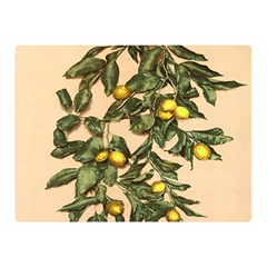 A Vintage Bunch Of Lemons Double Sided Flano Blanket (mini)  by ConteMonfrey