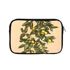 A Vintage Bunch Of Lemons Apple Macbook Pro 13  Zipper Case by ConteMonfrey