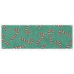 Christmas Candy Cane Background Banner and Sign 12  x 4  Front