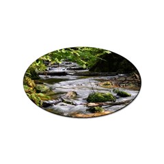 Bach Water Landscape Nature Forest Summer Sun Sticker (oval) by danenraven