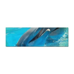 Beautiful Dolphins Sticker (bumper) by Sparkle