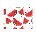 Watermelon Seamless Pattern One Side Premium Plush Fleece Blanket (Mini) 35 x27  Blanket Front