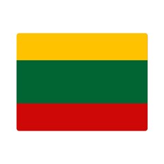 Lithuania One Side Premium Plush Fleece Blanket (mini) by tony4urban