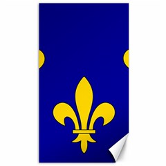 Ile De France Flag Canvas 40  X 72  by tony4urban