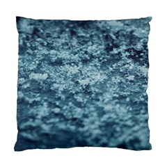 Texture Reef Pattern Standard Cushion Case (one Side) by artworkshop