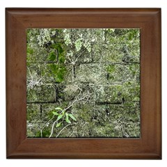 Old Stone Exterior Wall With Moss Framed Tile by dflcprintsclothing