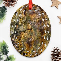 Rusty Orange Abstract Surface Ornament (oval Filigree) by dflcprintsclothing