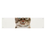 Watercolor Cat Banner and Sign 4  x 1  Front